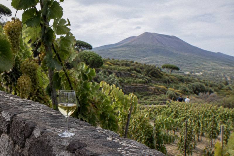 A glass of white wine on a vineyard wall below Vesuvius