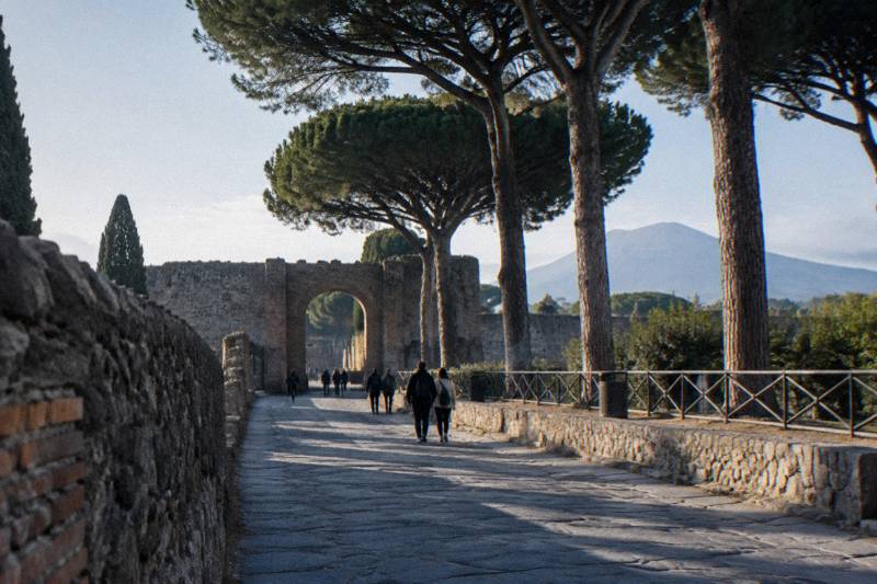 A shaded path under pines leading to an ancient gateway at Pompeii