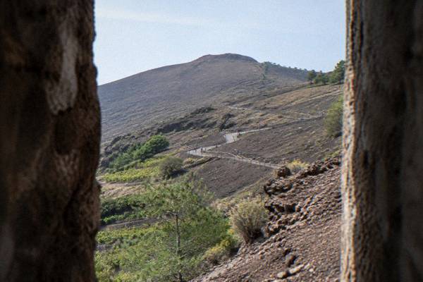 Vesuvius Ticket and Digital Guide, Naples