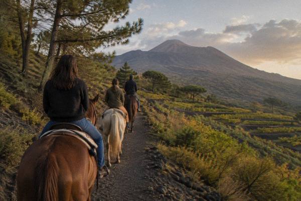 Horse Riding on Vesuvius, Lunch Included, Pompeii