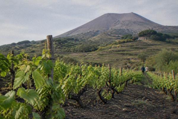 Lunch with Wine Tasting, 5 Hours, Pompeii