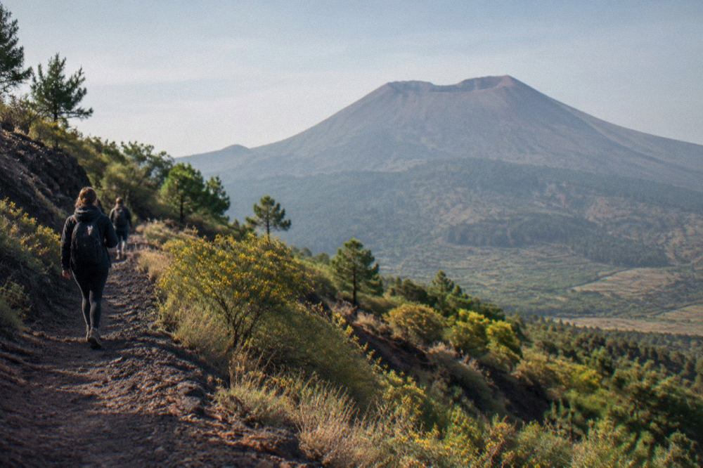 Winding road climbing the pine-covered slopes of Mount Vesuvius toward the crater rim