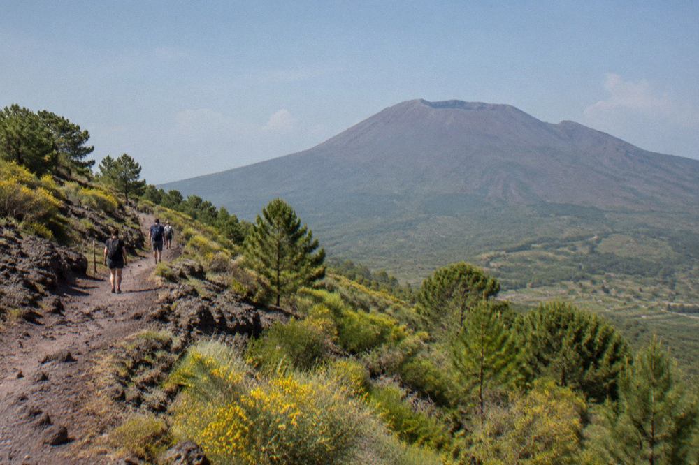A stone path climbing the slopes of Mount Vesuvius toward the crater rim