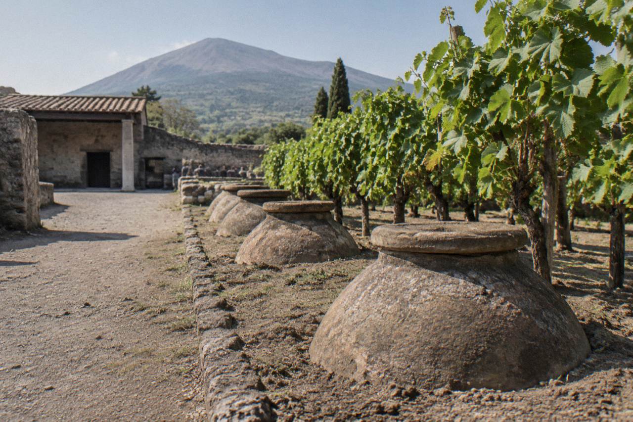 A low Roman farm building of whitewashed walls and terracotta roof tiles standing among vines on a flat plain