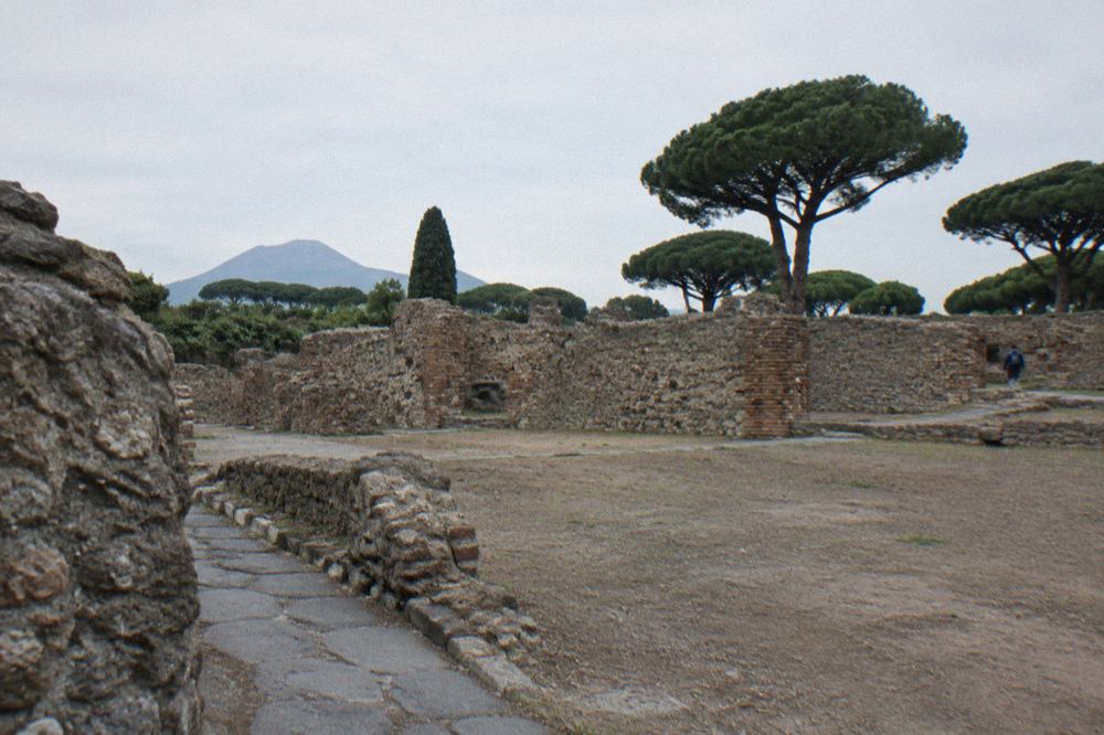 Rows of vineyard trenches in an excavated Pompeian garden with stone walls under an open sky