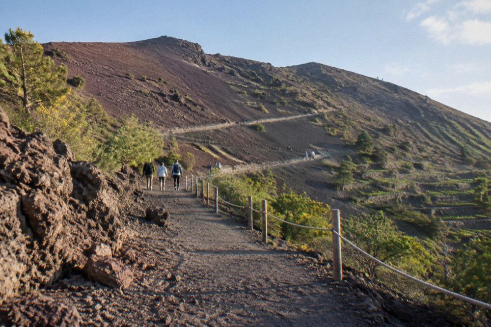 A marked gravel path rising through low scrub toward the Vesuvius crater
