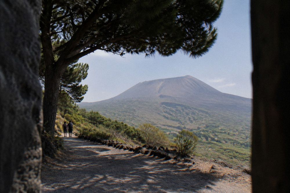A narrow mountain road winding up through pine scrub toward a volcano summit
