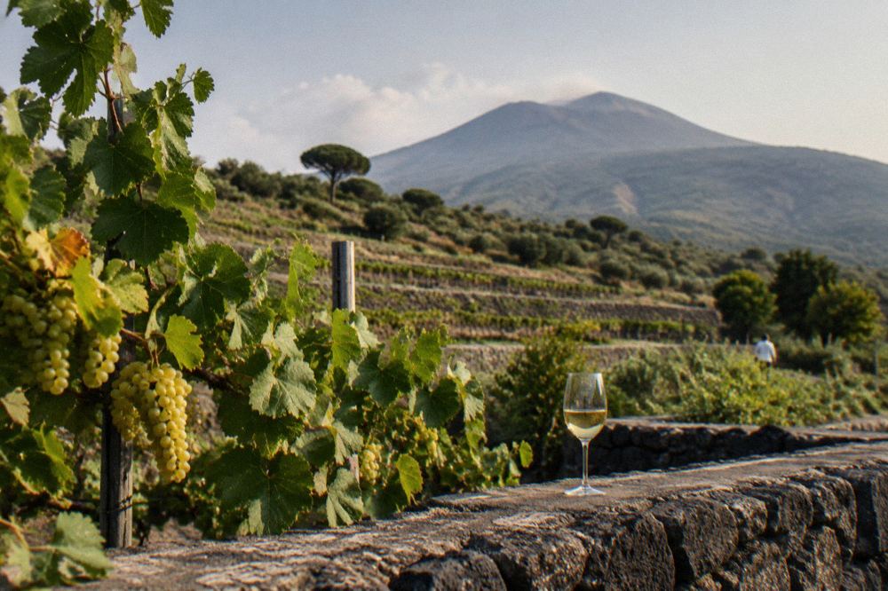 A long table set for lunch and wine tasting at a winery on Mount Vesuvius