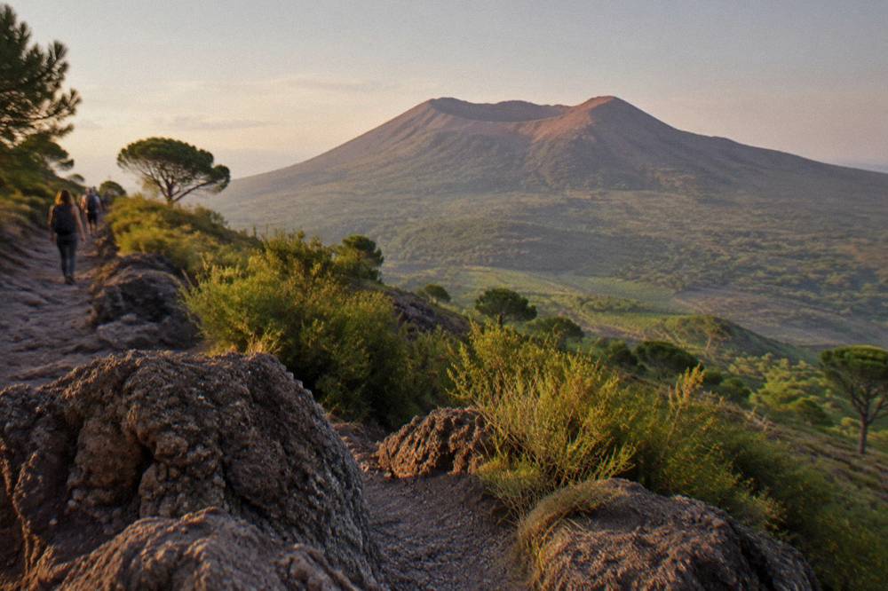 Vineyard rows on the lower slopes of Mount Vesuvius with the summit beyond